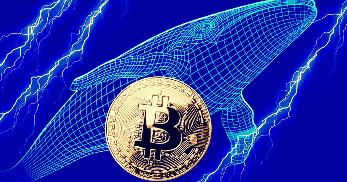 今回のビットコイン強気相場は機関投資家主導、個人からクジラへ移行＝Matrixport