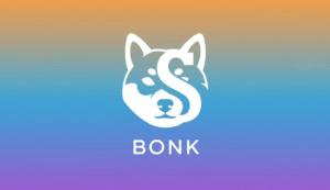 仮想通貨BONK(ボンク)の将来性｜2025年価格予測と買い方を解説。ソラナ復活の救世主はただの犬コインじゃない？