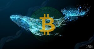 計2600億円超相当のBTC、LuBian関連のウォレットから移動