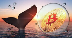 ビットコイン、クジラが大規模蓄積　1カ月で6万超を取得＝Santiment
