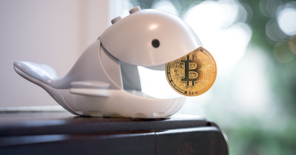ビットコインクジラ、32億円相当BTCをバイナンスへ　含み損下で売却の可能性